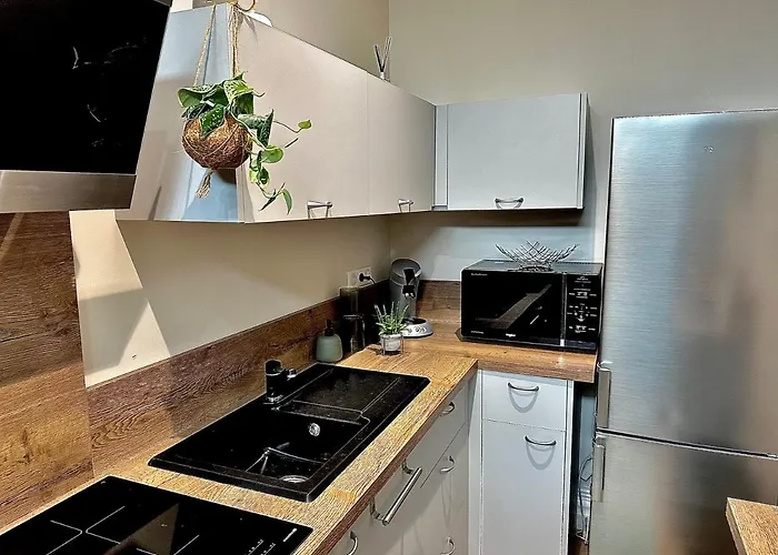 Cocooning Coeur De Apartment *