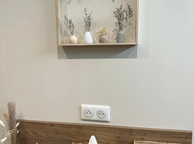 Cocooning Coeur De Apartment *